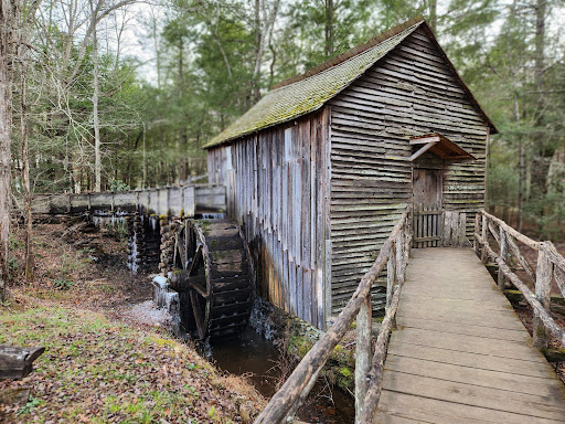 National Park «Great Smoky Mountains National Park», reviews and photos