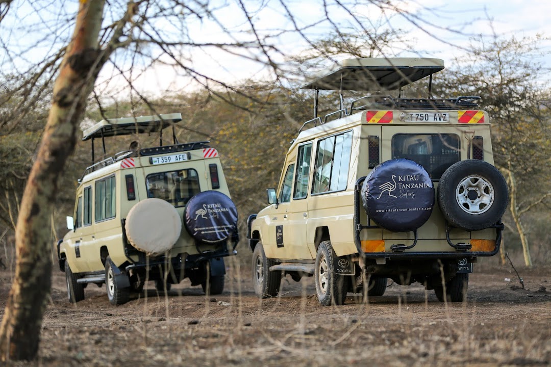 Kitau Tanzania Safaris