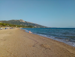 Photo de Paralia Vasilikos zone des équipements