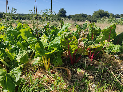 La Micro-ferme de Condac à Condac