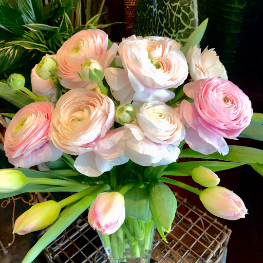 Florist «A Floral Experience», reviews and photos, 5457 N MacArthur Blvd, Irving, TX 75038, USA