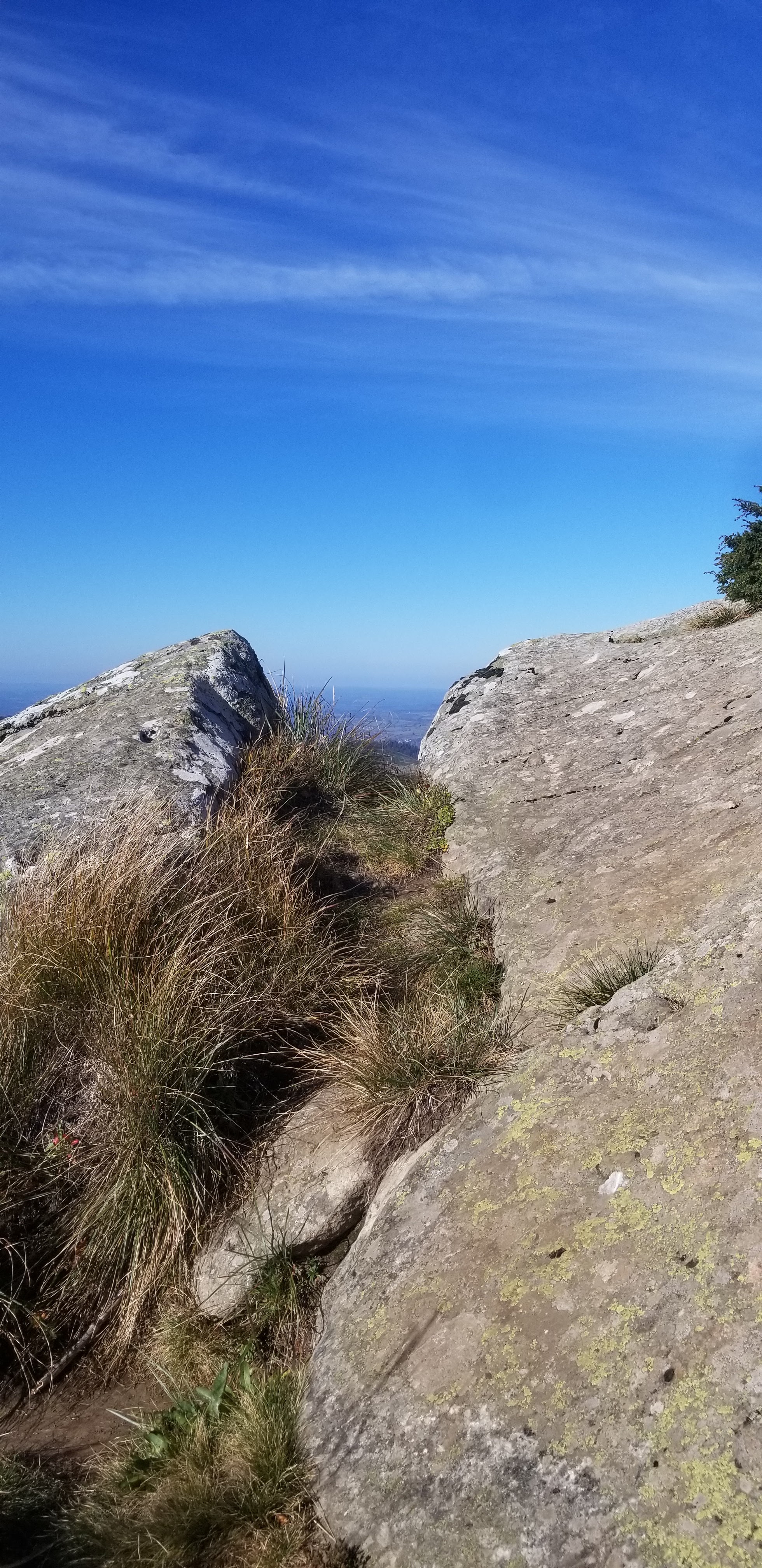 Photo n° 16 de l'avis de Céline.O fait le 28/10/2021 à 15:42