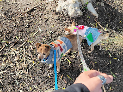 Pet Supply Store «PetSmart», reviews and photos, 4120 E 4th St, Ontario, CA 91764, USA