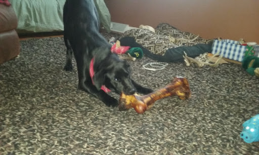 Pet Supply Store «Mounds Pet Food Warehouse», reviews and photos, 5350 King James Way, Fitchburg, WI 53719, USA