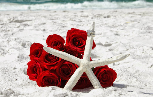 Event Planner «Barefoot Weddings», reviews and photos, 11 Eglin Pkwy SE, Fort Walton Beach, FL 32548, USA