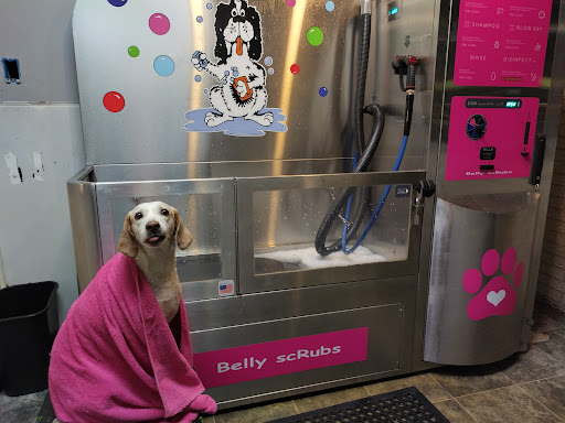 Pet Groomer «Belly scRubs Self Service Pet Wash», reviews and photos, 119 WV-34 #1, Hurricane, WV 25526, USA