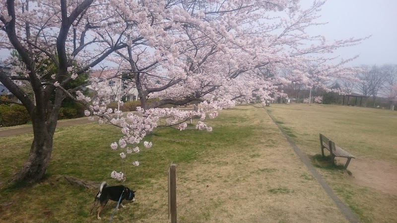 鶴が丘公園