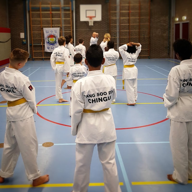 Chingu Tang soo do