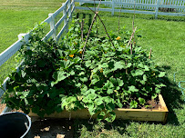 Best Materials - Photo 8 - Car repair in Middletown, DE, Dover