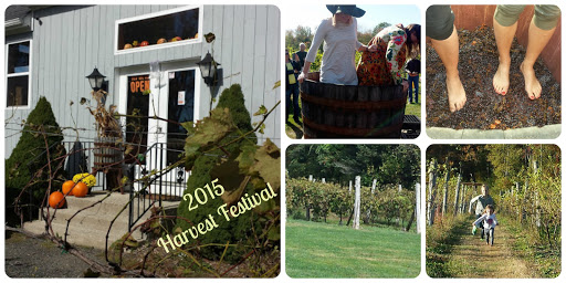 Vineyard «Miranda Vineyard», reviews and photos, 42 Ives Rd, Goshen, CT 06756, USA