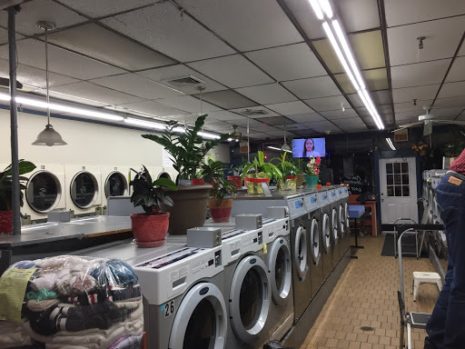 Laundromat «Laundryland», reviews and photos, 1160 Yonkers Ave, Yonkers, NY 10704, USA