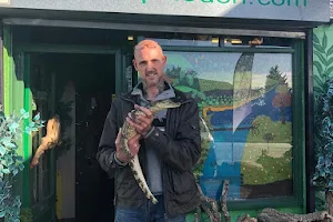 Paul's Reptile Den image