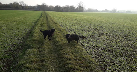 Laura's Paws - Dog Walking & Pet Sitting Services