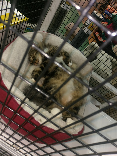 Pet Supply Store «Pet Supermarket», reviews and photos, 3821 S Cobb Dr, Smyrna, GA 30080, USA