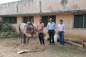 Veterinary Hospital, Haveri image