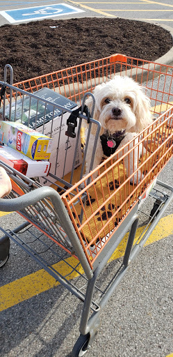 Home Improvement Store «The Home Depot», reviews and photos, 6190 Mid Rivers Mall Dr, St Peters, MO 63304, USA