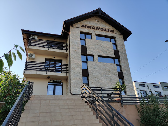 Pensiunea Magnolia - Hotel