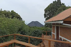 El Jardin de Los Volcanes image