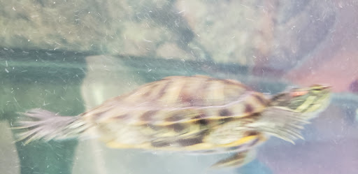 Pet Supply Store «Petco Animal Supplies», reviews and photos, 2575 Fairview Ave N, Roseville, MN 55113, USA