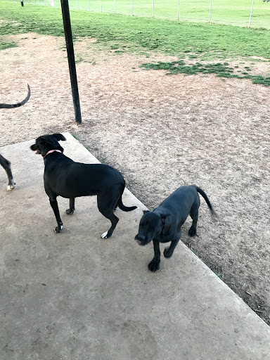 Dog Park «Bedford Bark Park», reviews and photos, 3200 Meadow Park Dr, Bedford, TX 76021, USA
