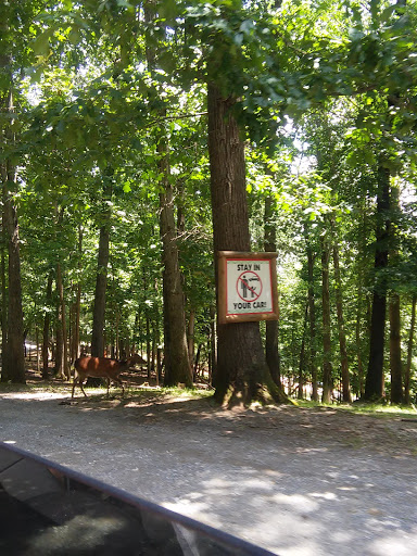 Discount Store «Dollar General», reviews and photos, 1993 Lancaster Pike, Peach Bottom, PA 17563, USA