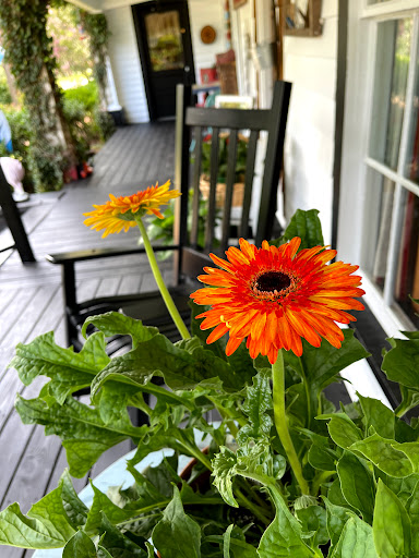 Hostel «Blue Goose Bike Hostel», reviews and photos, 128 E Main St, Irwinton, GA 31042, USA