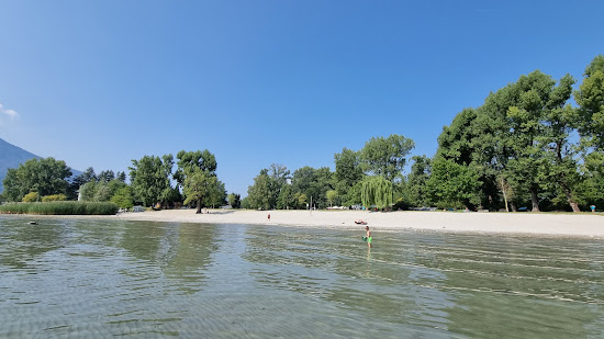 Parco delle Camelie