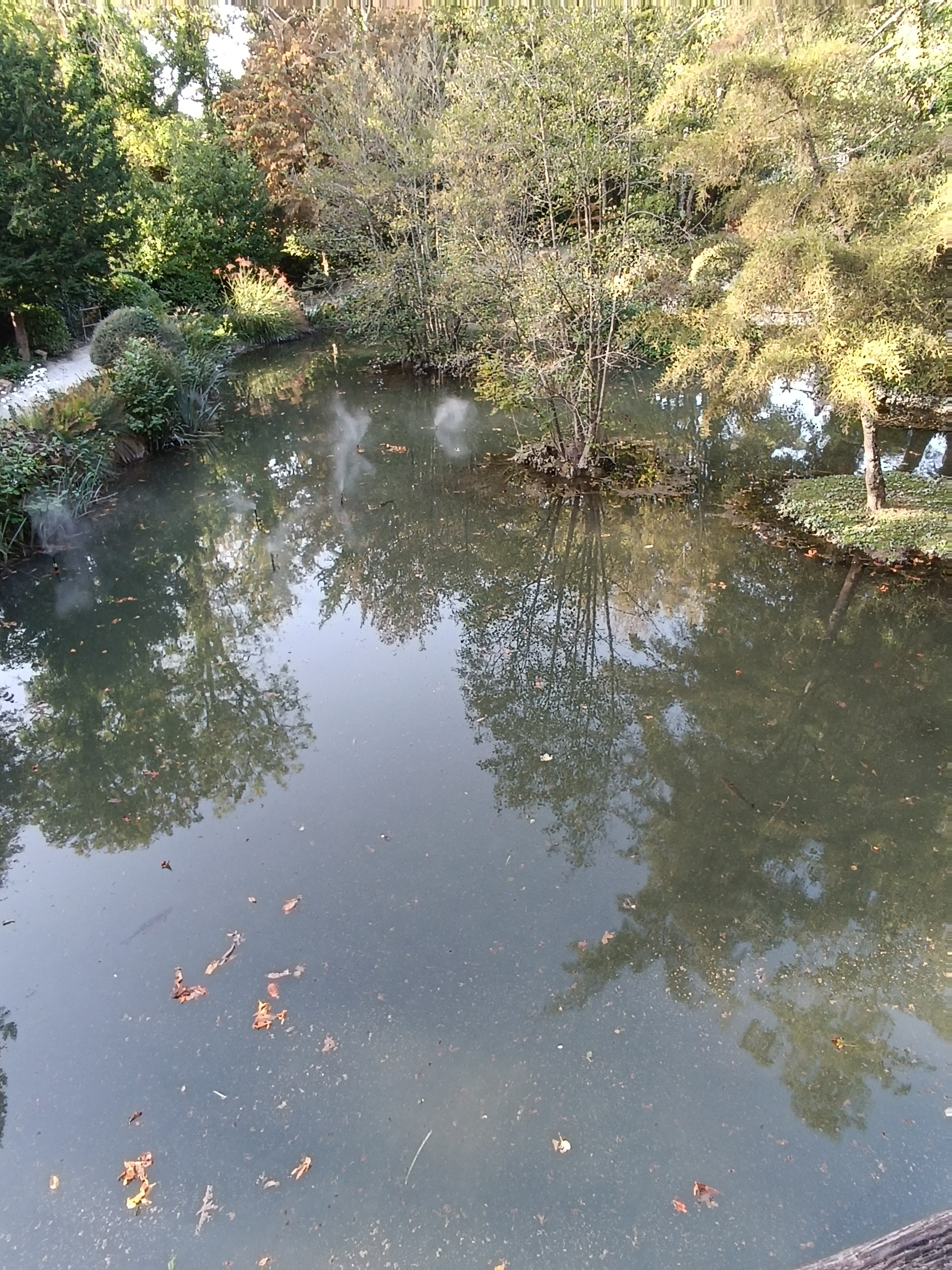 Photo n° 1 de l'avis de gérard.h fait le 09/01/2024 à 14:35