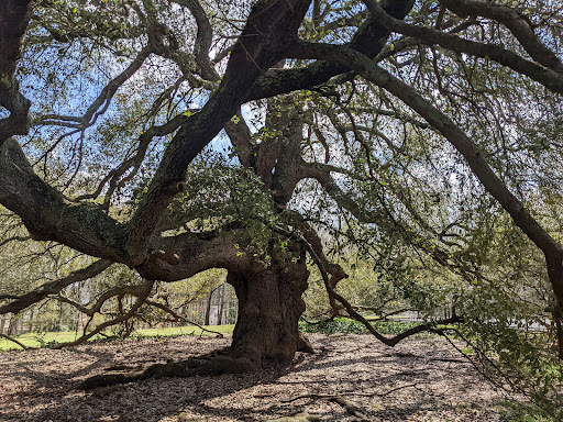 Park «Holmes Park», reviews and photos, Twin Lake Rd, Greenville, SC 29609, USA