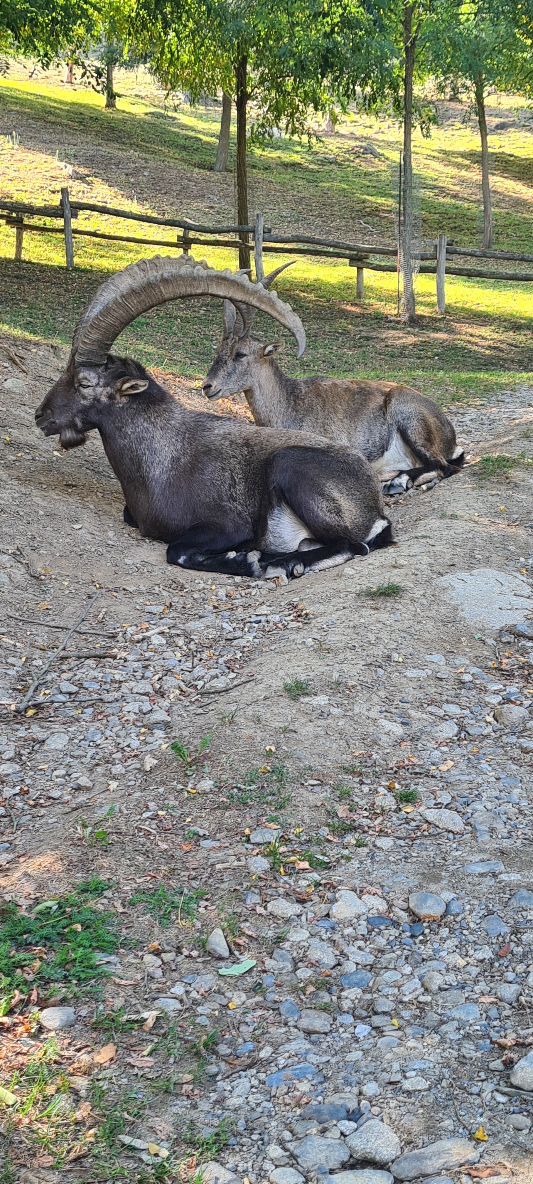 Photo n° 11 de l'avis de Jacky.r fait le 18/09/2022 à 05:13