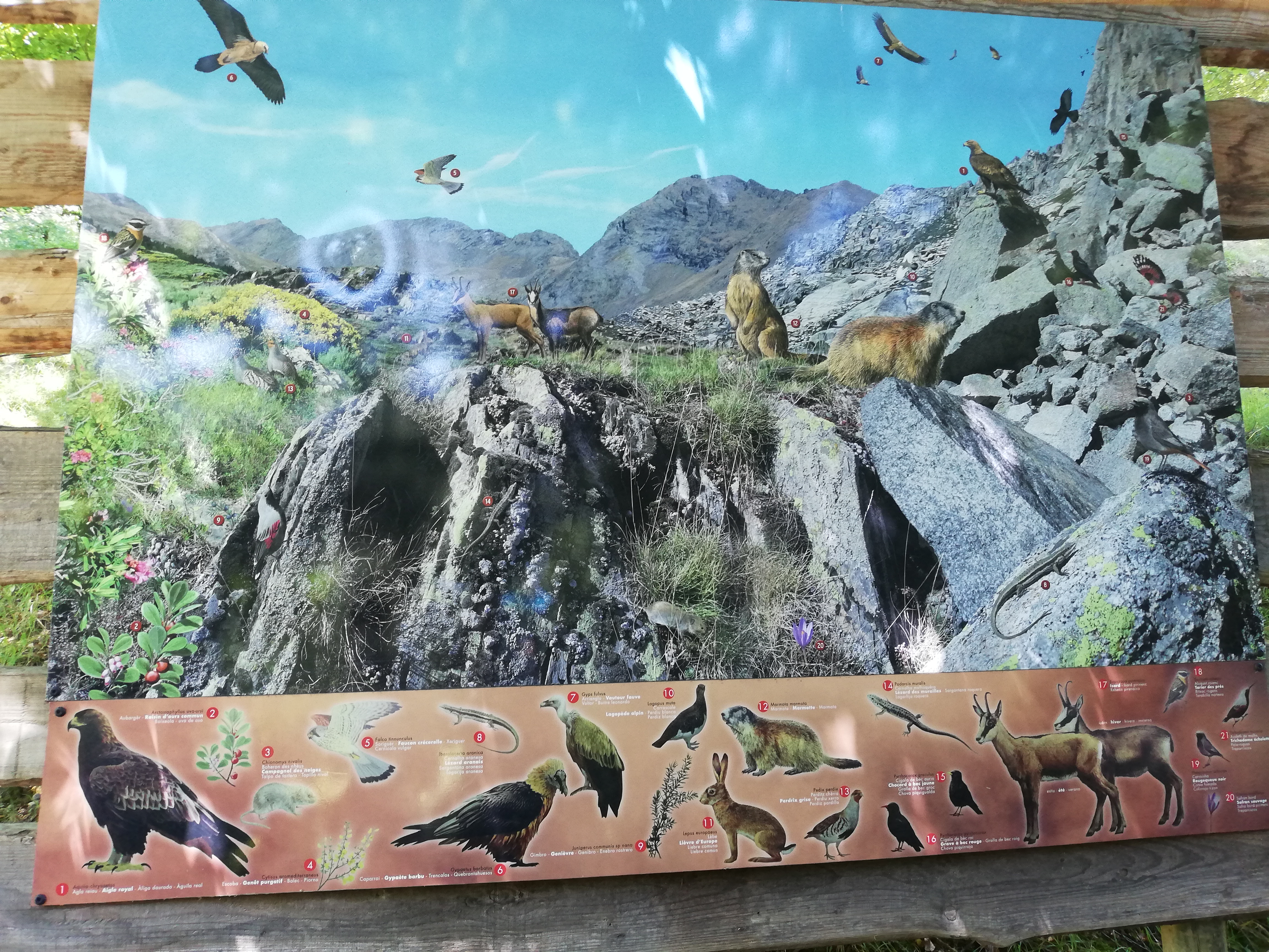 Photo n° 33 de l'avis de Soleil. fait le 20/08/2020 à 12:36