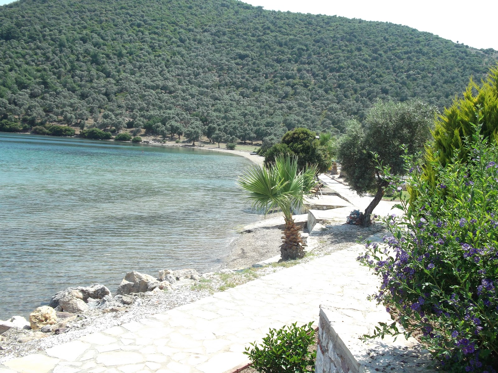 Iasos Beach II'in fotoğrafı küçük koy ile birlikte