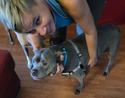 Pet Supply Store «PetSmart», reviews and photos, 11331 Causeway Blvd, Brandon, FL 33511, USA