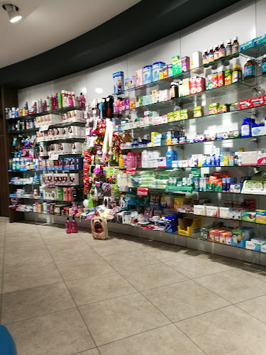 Reviews of Sheppards Pharmacy (Avicenna Partner) Pencoed 2 in Bridgend - Pharmacy