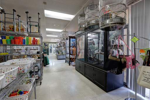 Bird Shop «Arizona Bird Store», reviews and photos, 565 S Dobson Rd, Mesa, AZ 85202, USA