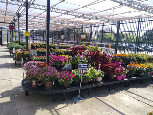 Department Store «Walmart Supercenter», reviews and photos, 4400 W Tennessee St, Tallahassee, FL 32304, USA