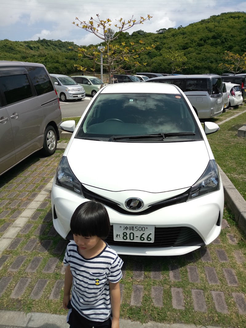 トヨタレンタリース沖縄 中部店 (沖縄県沖縄市大里 レンタカー 