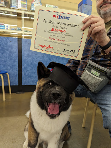 PetSmart Dog Training