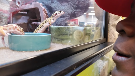 Pet Supply Store «Petco Animal Supplies», reviews and photos, 17930 Halsted St, Homewood, IL 60430, USA