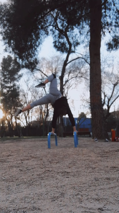 PARQUE STREET WORKOUT LA CHOPERA