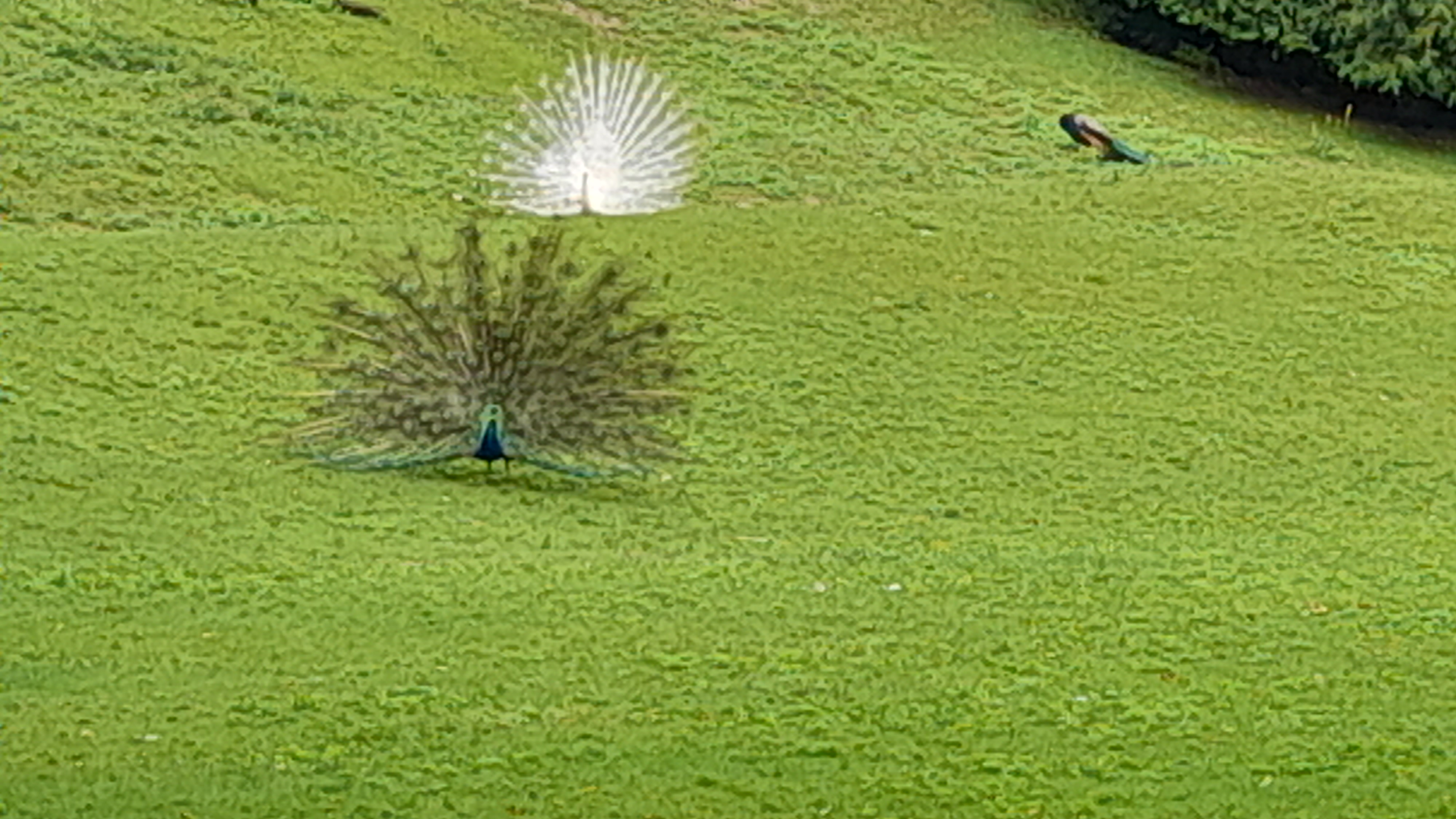 Photo n° 4 de l'avis de Bty.o fait le 12/07/2023 à 12:04