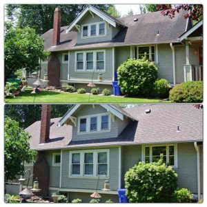 Roofing Contractor «Roof Life of Oregon», reviews and photos, 11445 SW Tiedeman Ave, Tigard, OR 97223, USA