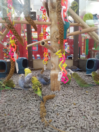 Pet Supply Store «Petco Animal Supplies», reviews and photos, 4175 Dowlen Rd, Beaumont, TX 77706, USA