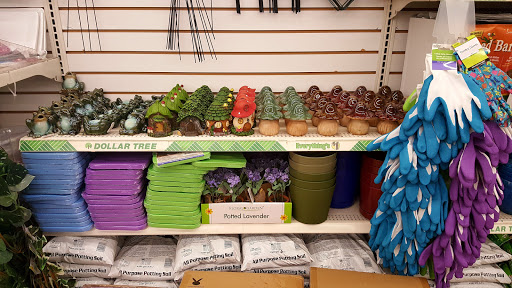 Dollar Store «Dollar Tree», reviews and photos, 1350 S Park Victoria Dr #10, Milpitas, CA 95035, USA