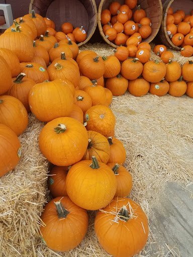 Home Improvement Store «The Home Depot», reviews and photos, 1305 S Lone Hill Ave, Glendora, CA 91740, USA