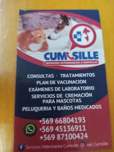 vet cumsille - Providencia