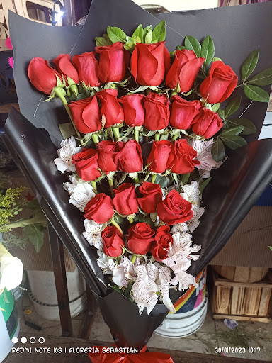 Regalos y Flores “Lizbeth” – Encarnación de Díaz