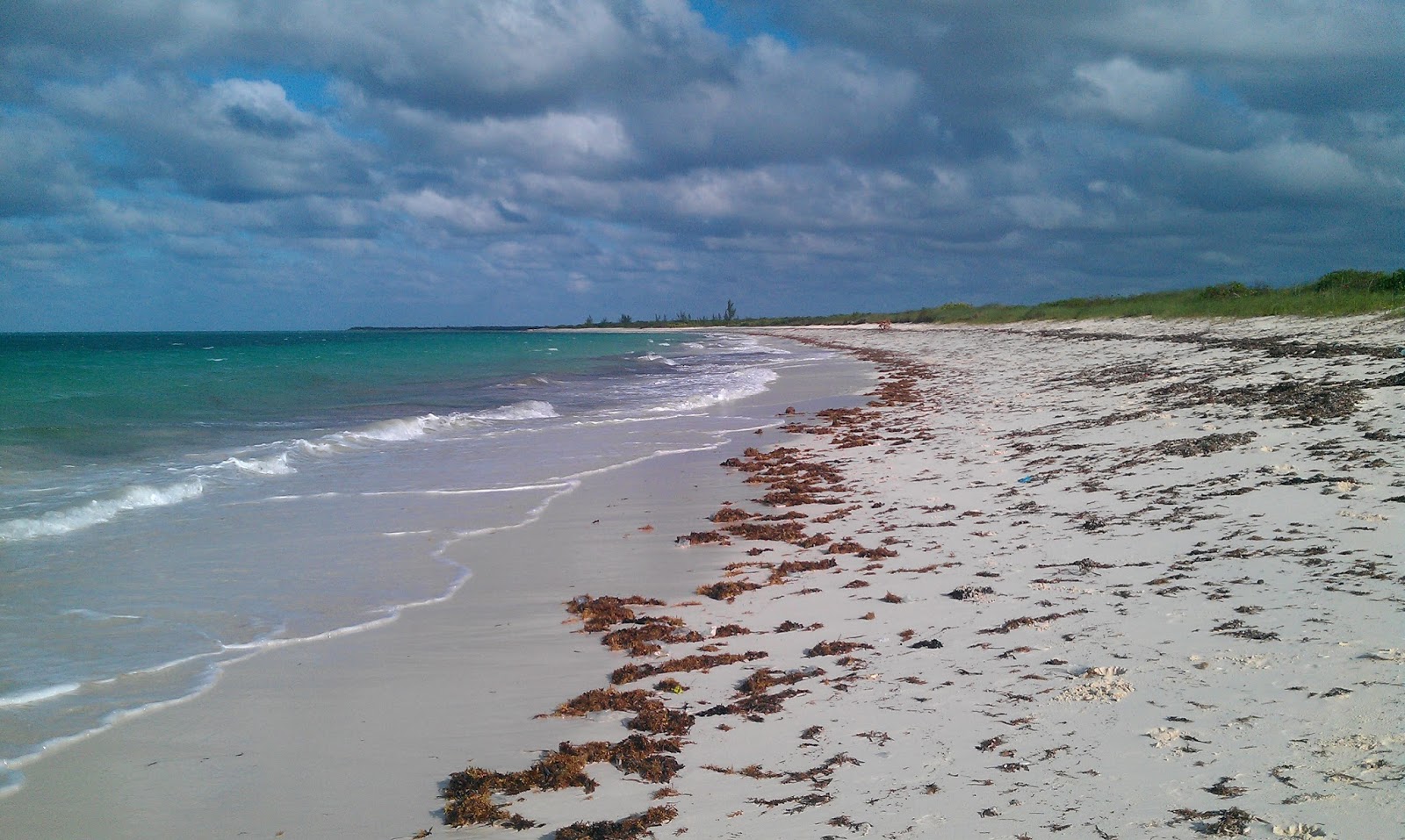 Photo de Playa Corella avec l'eau turquoise de surface