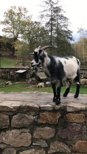 Ziegenburg Sieben Greisslein unter Lengenfeld, 