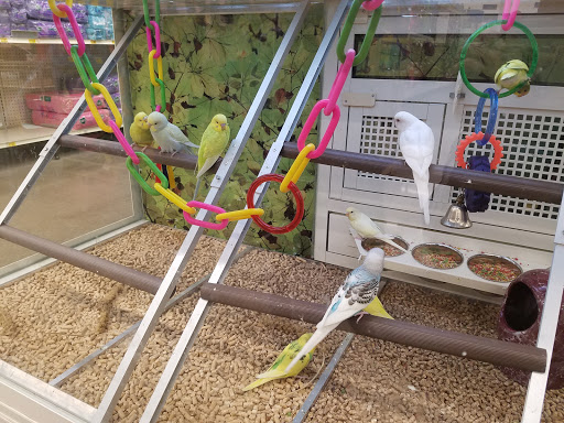 Pet Supply Store «PetSmart», reviews and photos, 10600 Melody Dr, Northglenn, CO 80234, USA